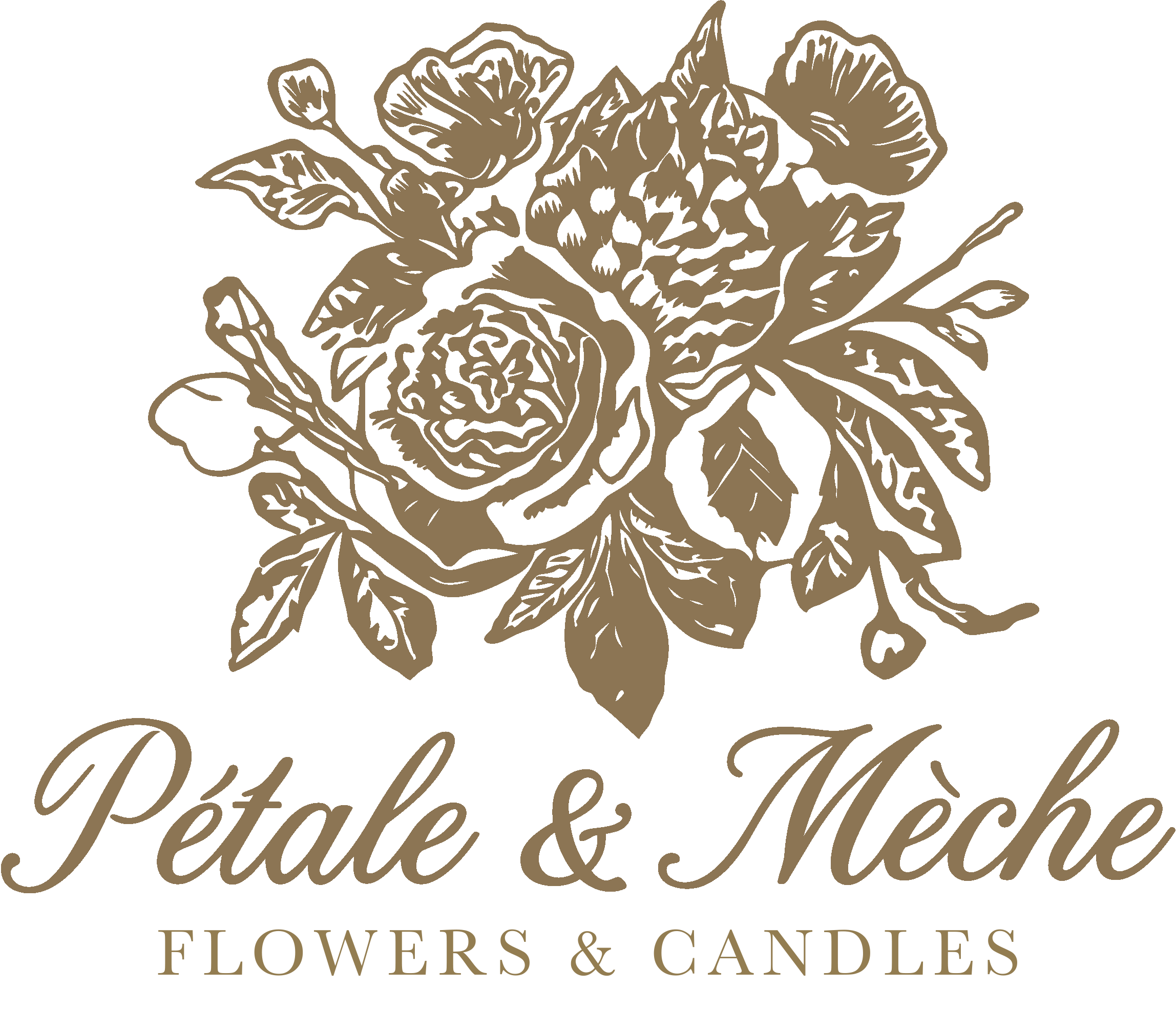 Pétale & Mèche